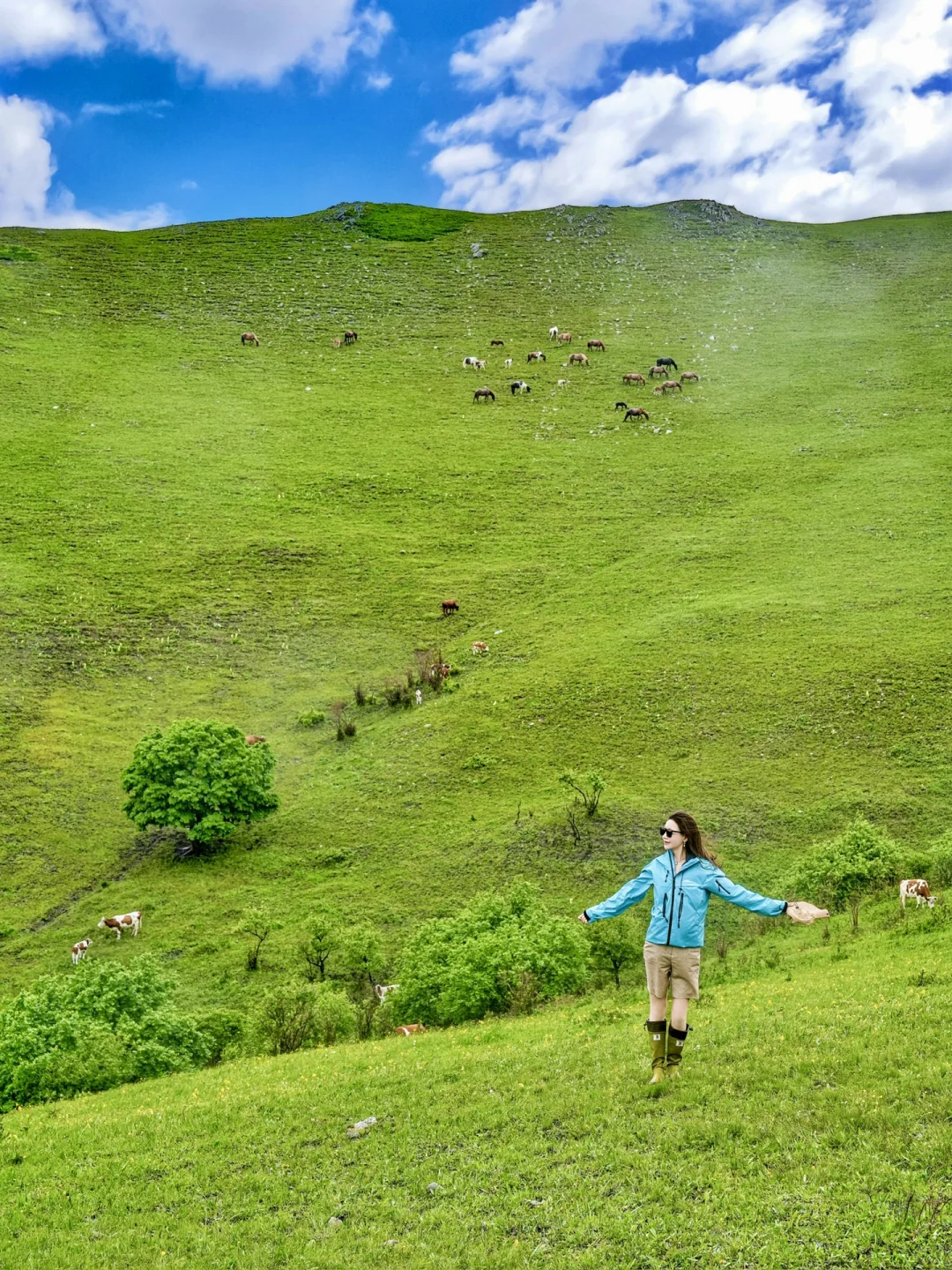 北京自驾天堂🚗京郊阿勒泰❗️20 ℃的漫画草原