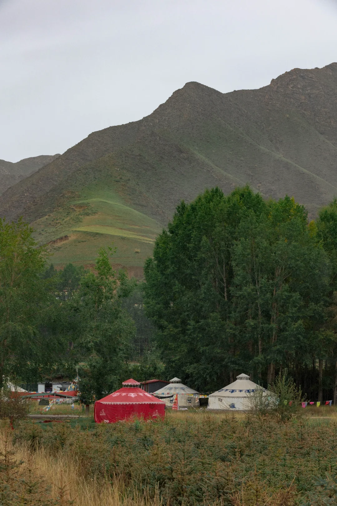 兰州怎么玩 这条绝美路线一定一定要去