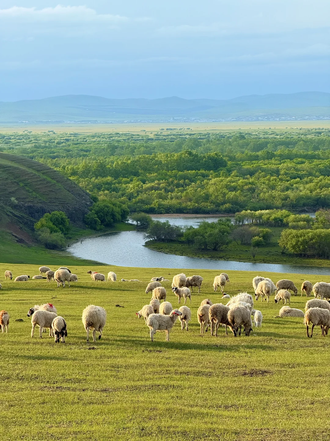 最终,我还是一个人“抛夫弃子”来到呼伦贝尔
