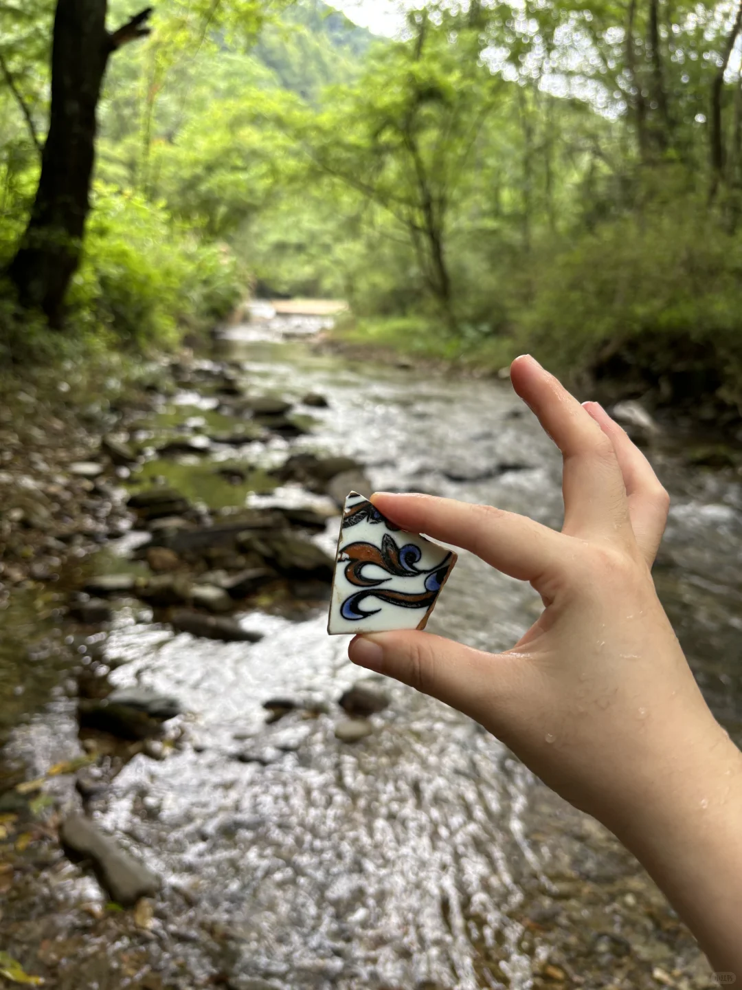 景德镇的理想夏日🫧🍑