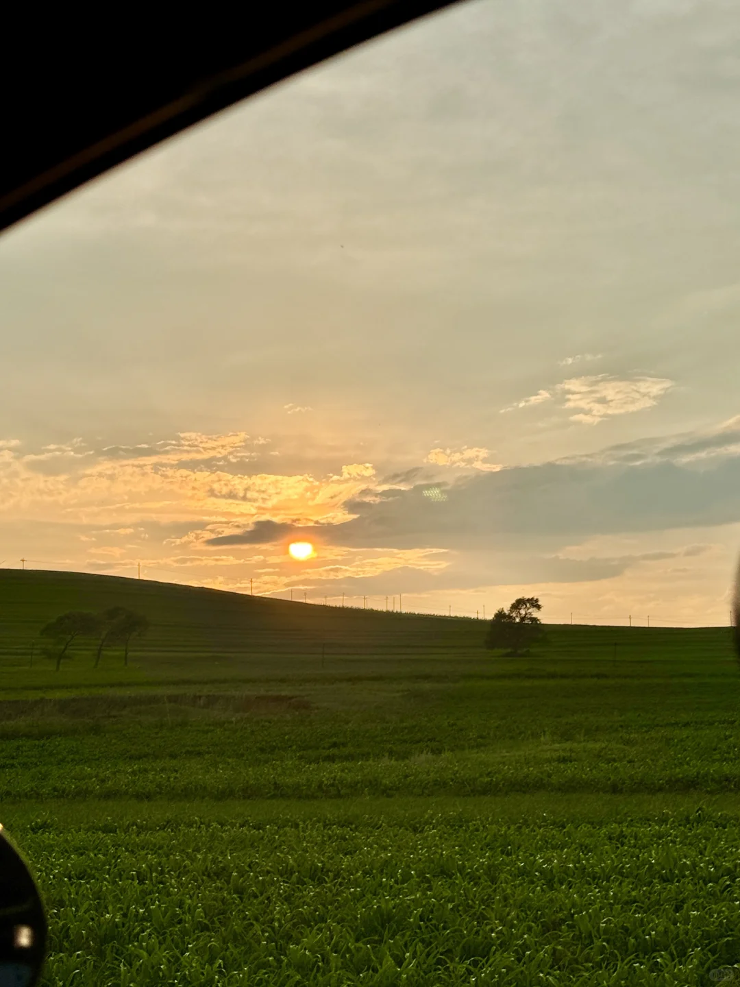 北京自驾天堂🚗京郊阿勒泰❗️20 ℃的漫画草原