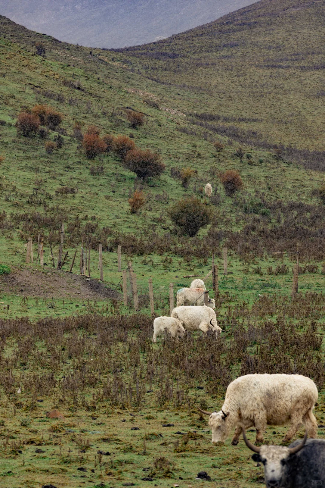 兰州怎么玩 这条绝美路线一定一定要去