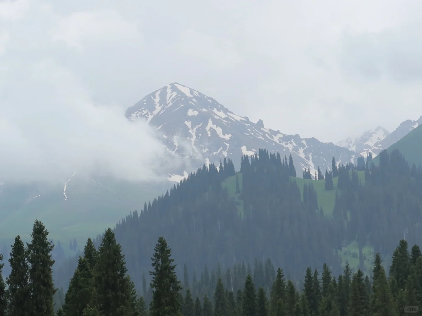 新疆伊犁很美,不会再来第二次了