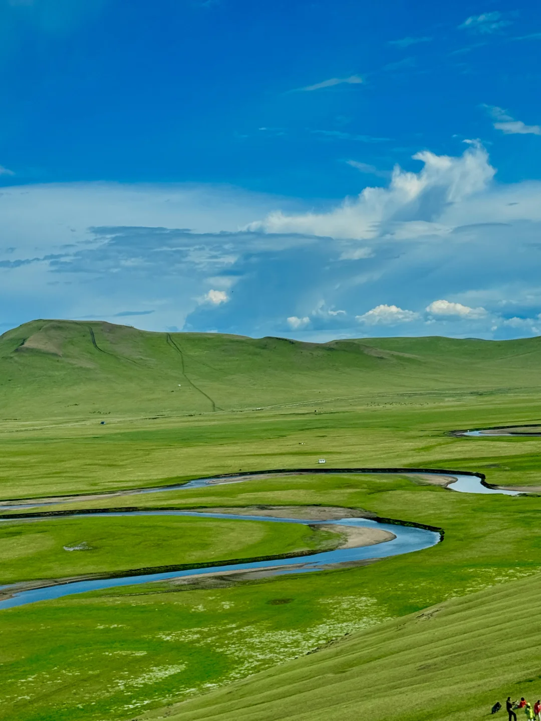 用18张live图打开呼伦贝尔的夏天，附路线🗺