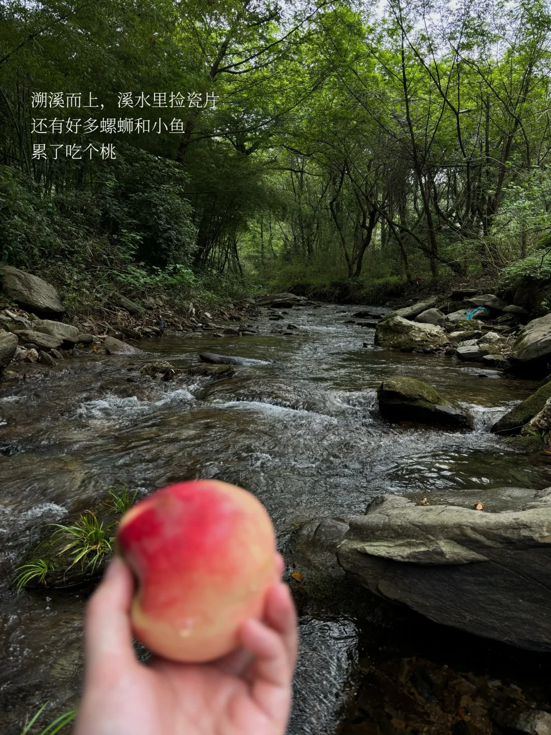 景德镇的理想夏日🫧🍑