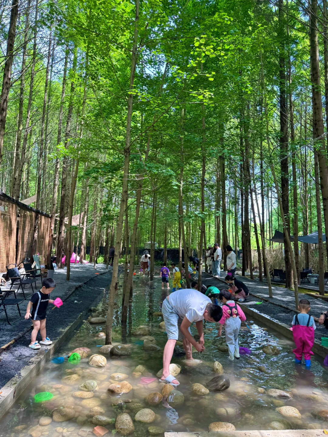 🍃五一还没想好去哪？冲这个神仙森林营地！！