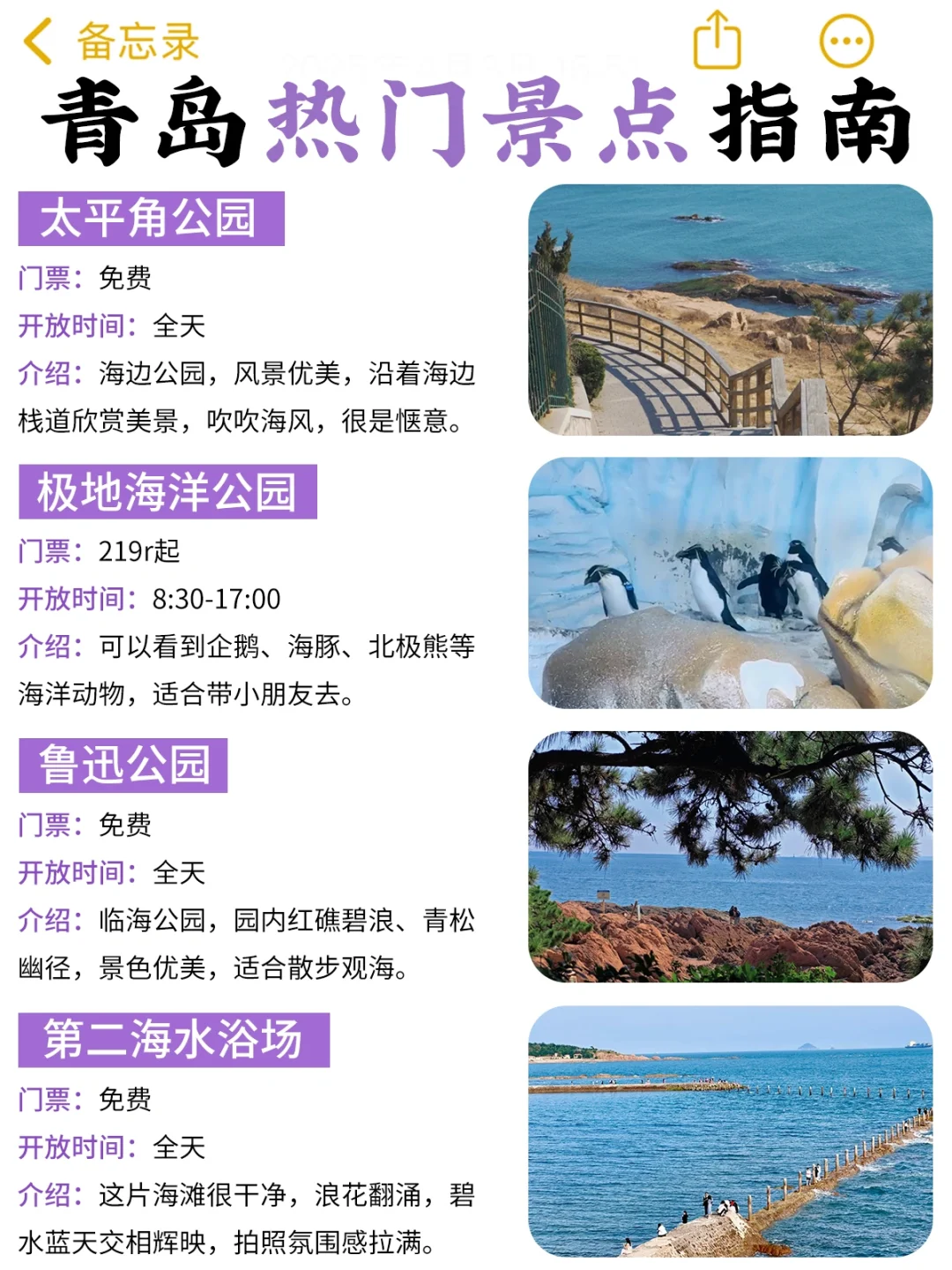 青岛旅游景点鄙视链大揭秘‼拒绝踩坑🙅‍♂