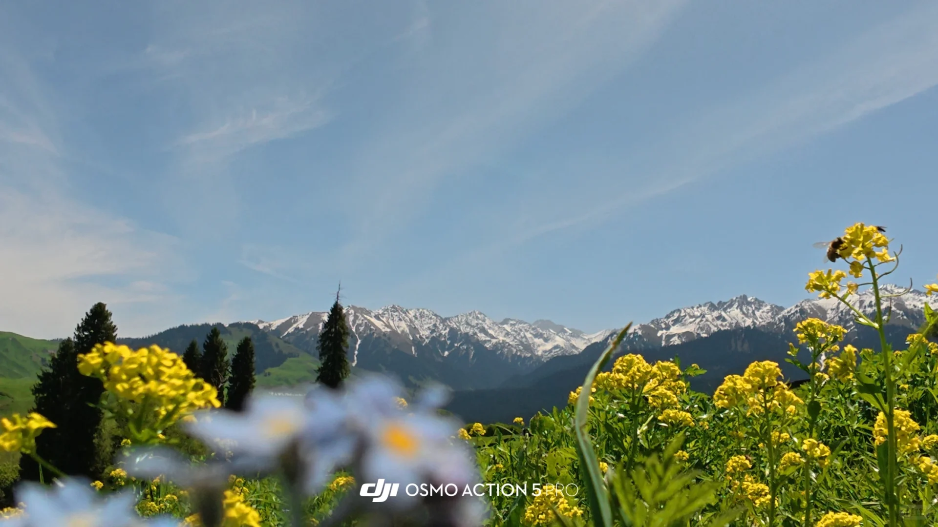 人均5000多,不早起不熬夜,详细路线攻略