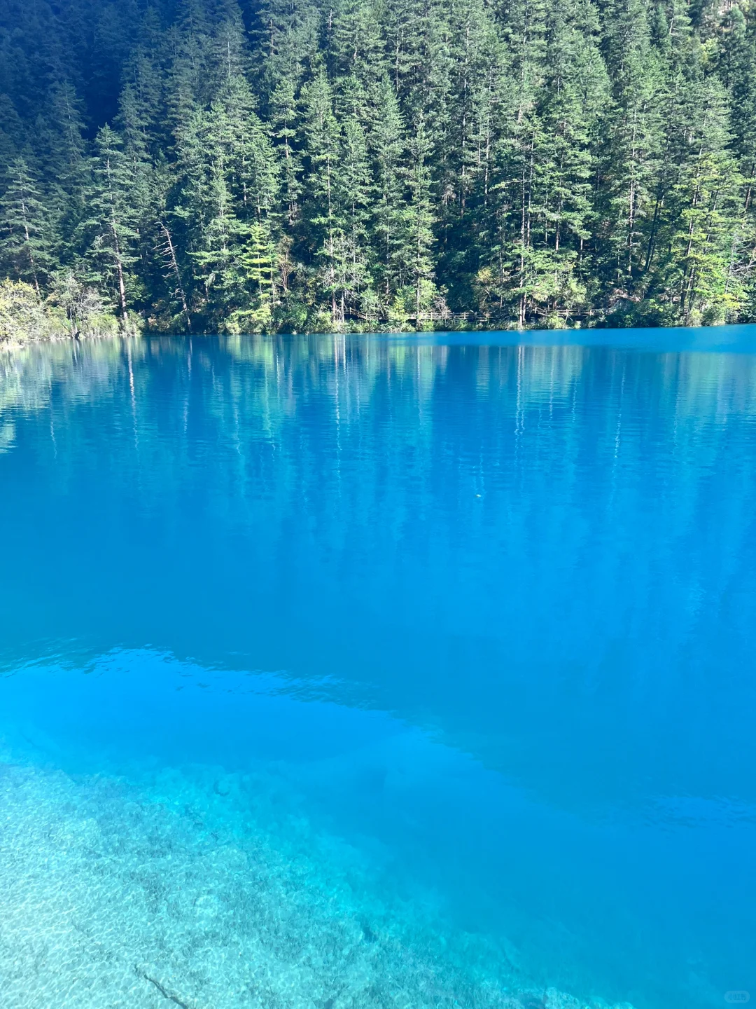 在九寨沟💙见证了一场蓝色的盛宴