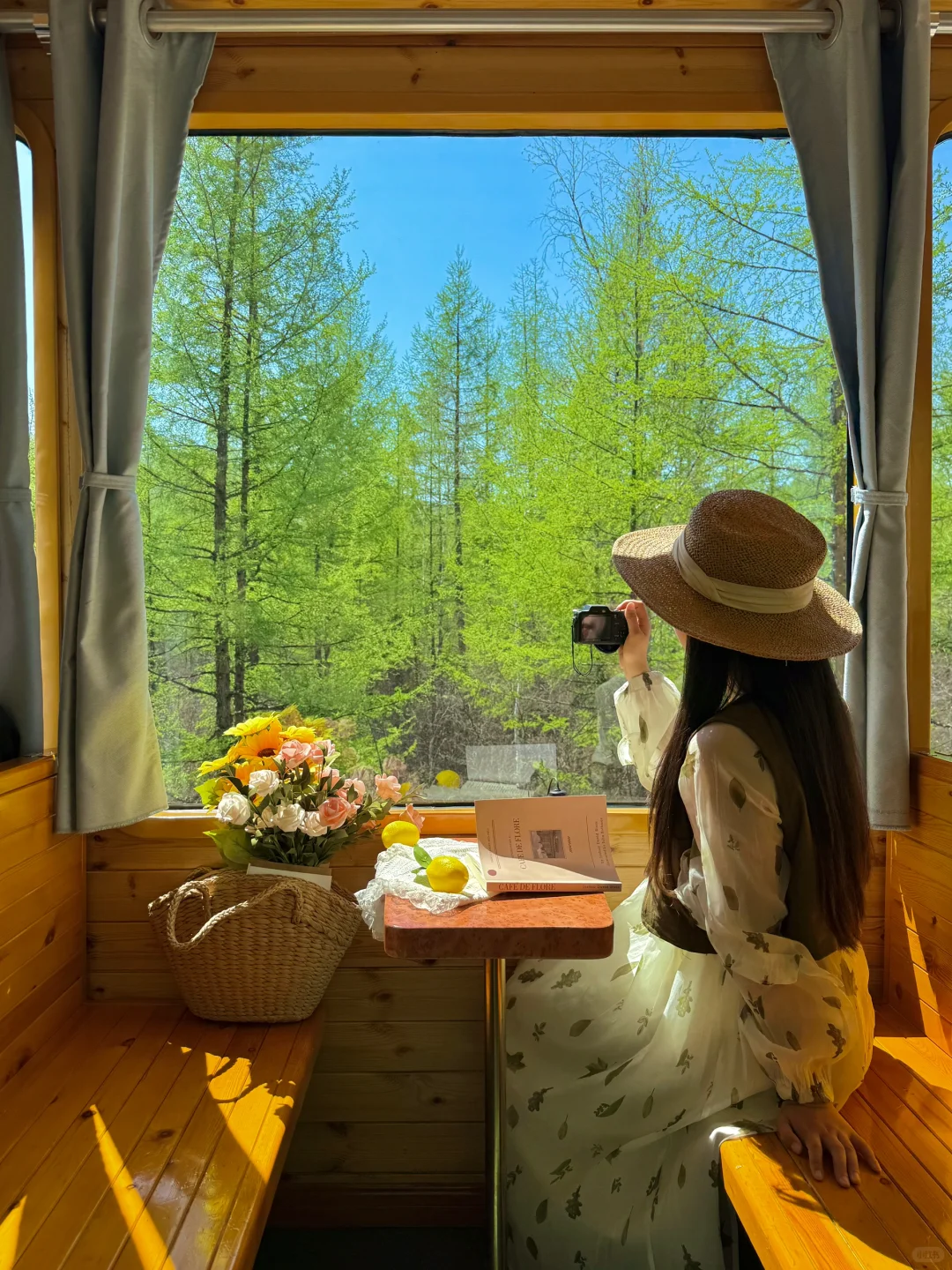 “人生三万天，总要留6天给呼伦贝尔吧～🐏”