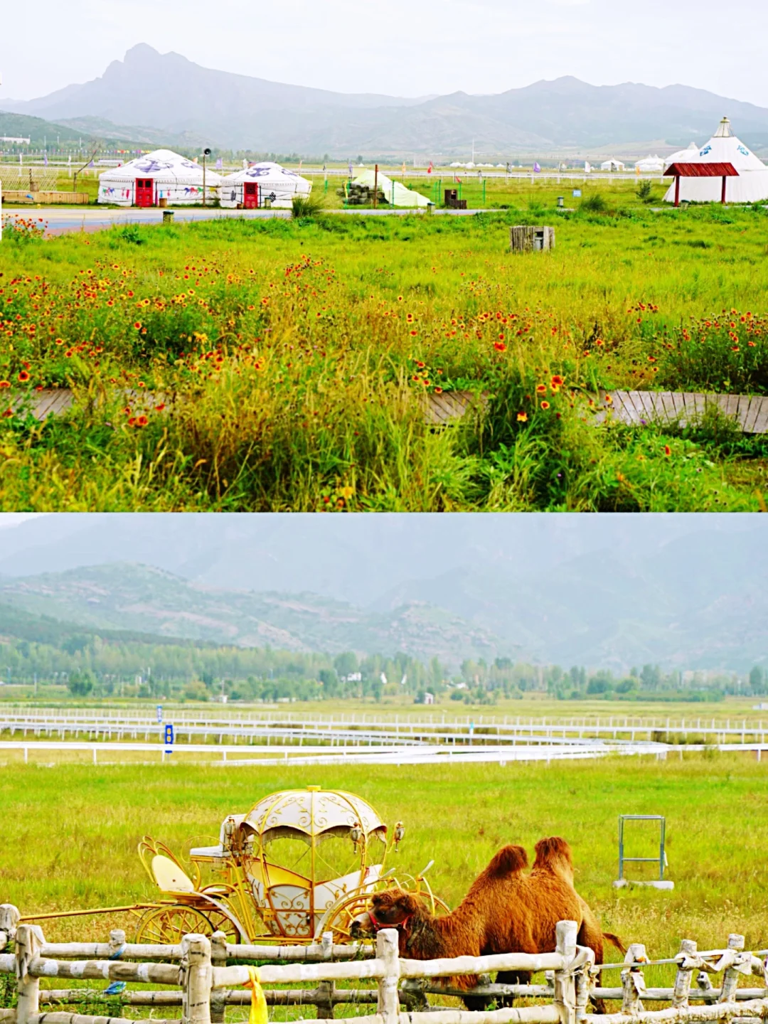 一图“解锁”·呼市攻略