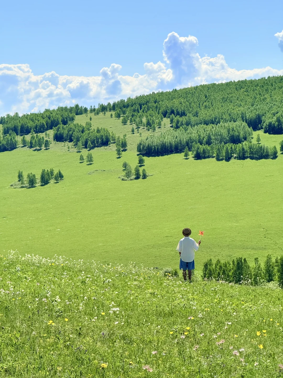 18张live！初夏的呼伦贝尔杀疯了！！！