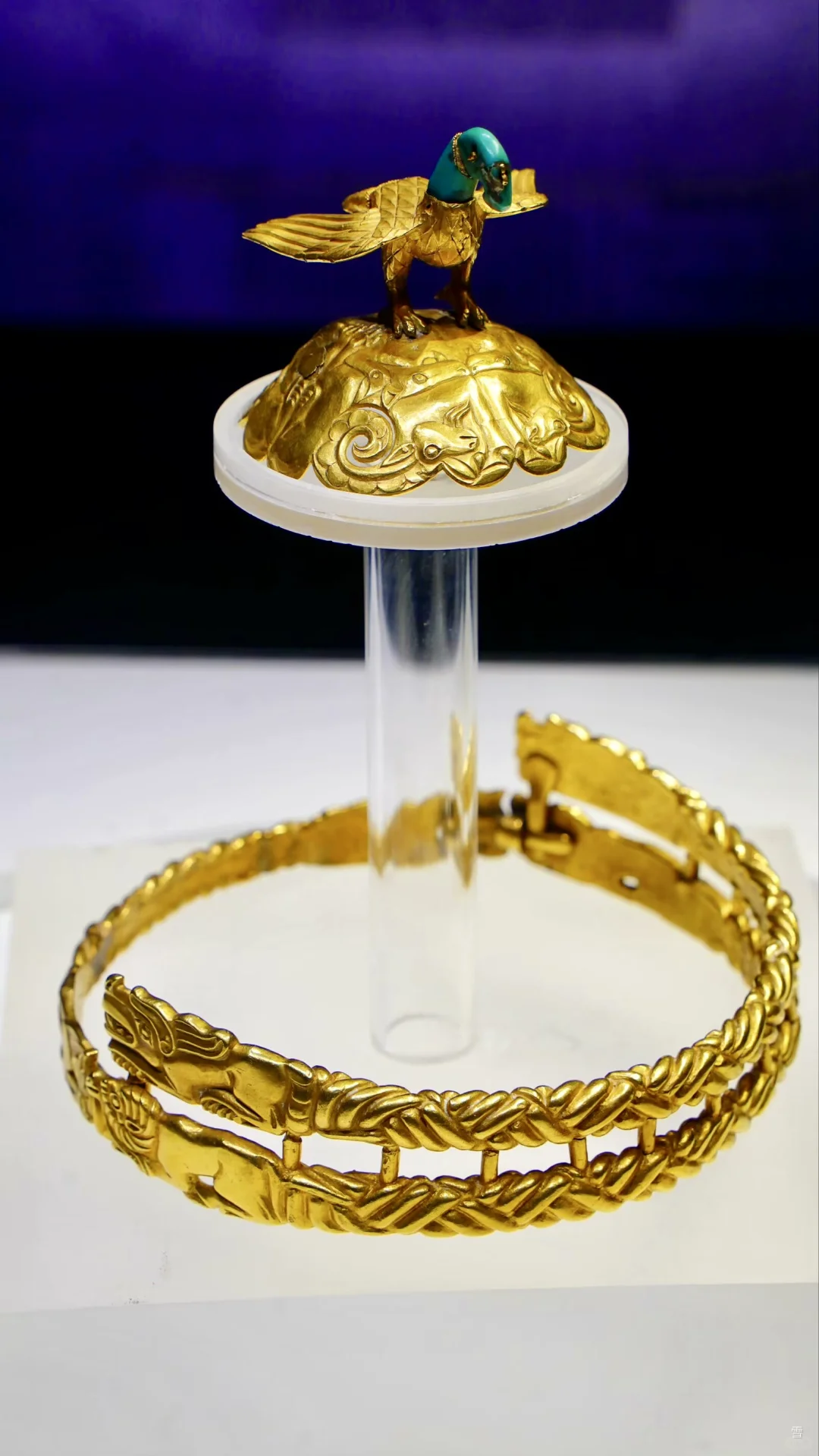 一图“解锁”·呼市攻略