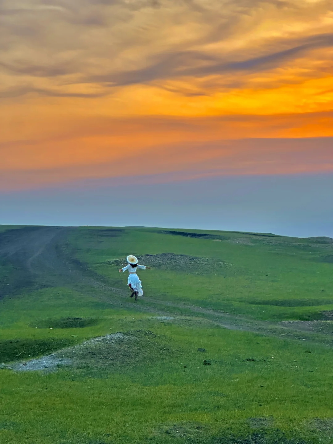 为了这18张live图，专门飞了趟呼伦贝尔…