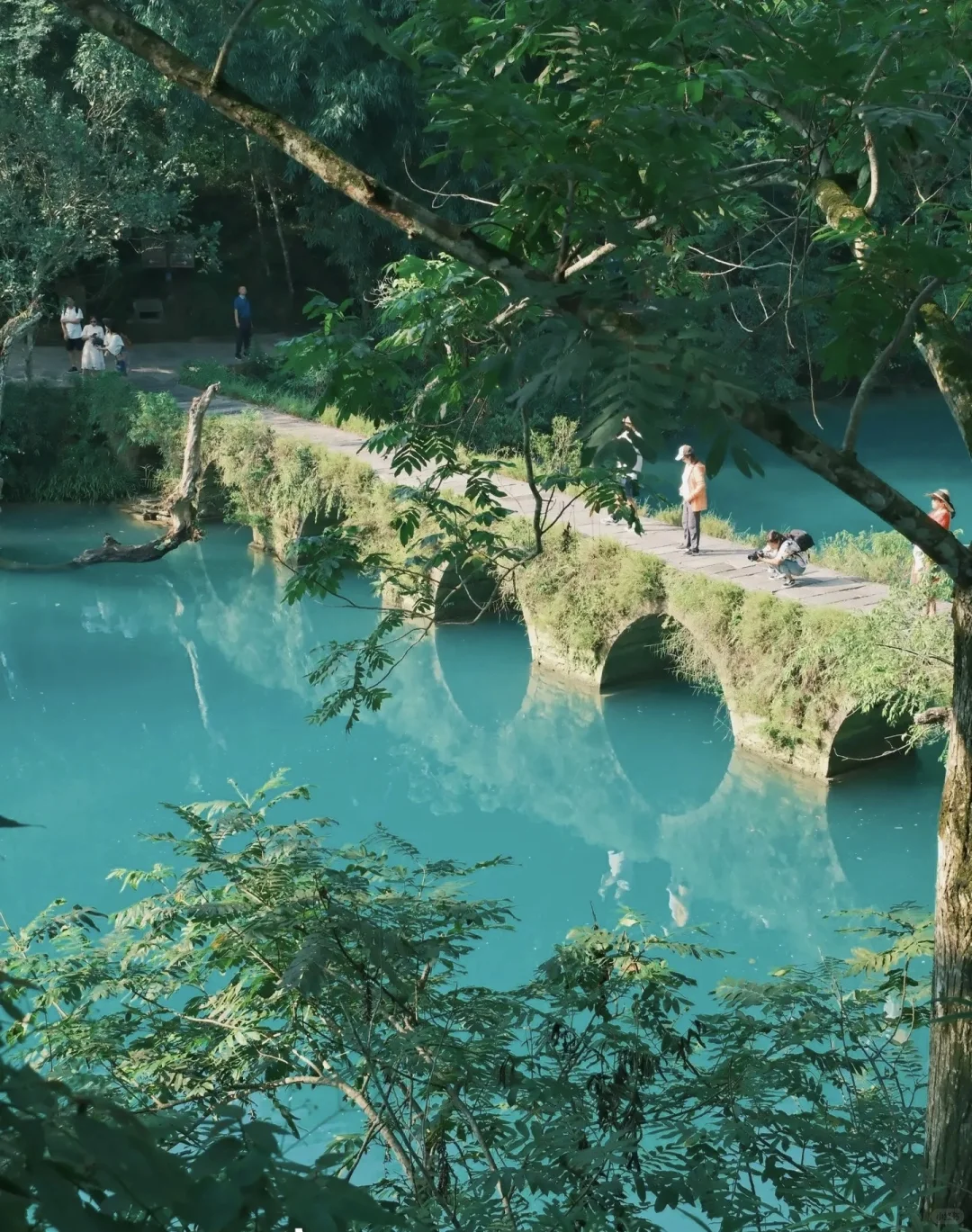 🌿闯入荔波小七孔，邂逅人间绿宝石🌿