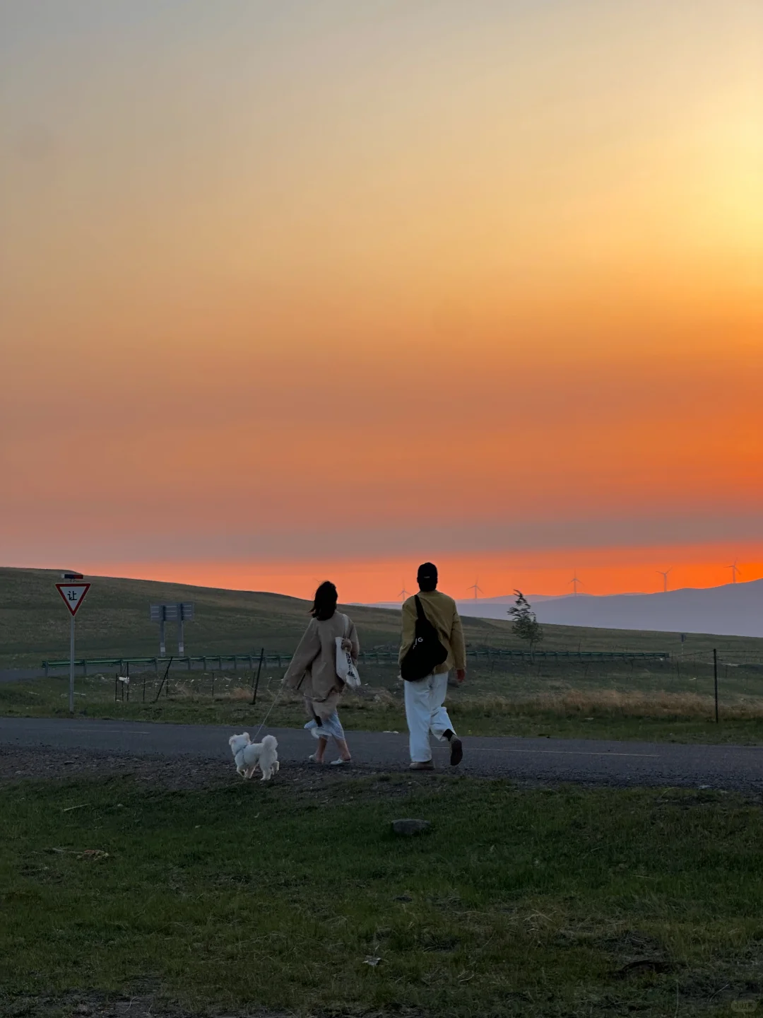live图 不敢相信，草原的尽头是大海～