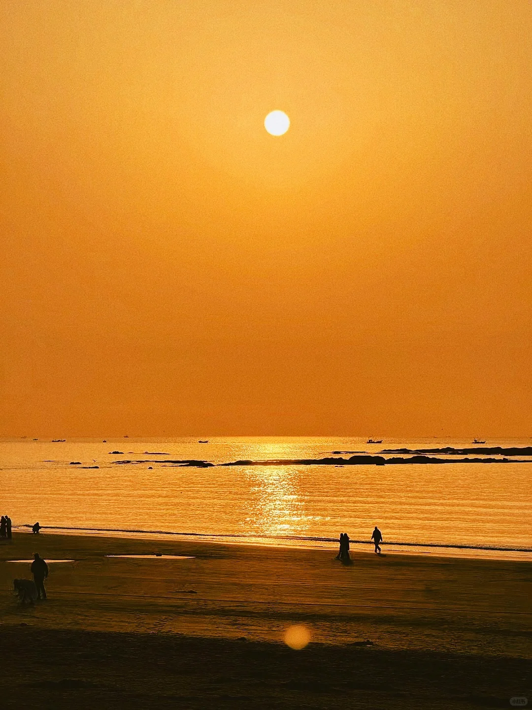 五一去山东冷门小城“莱州”🌊