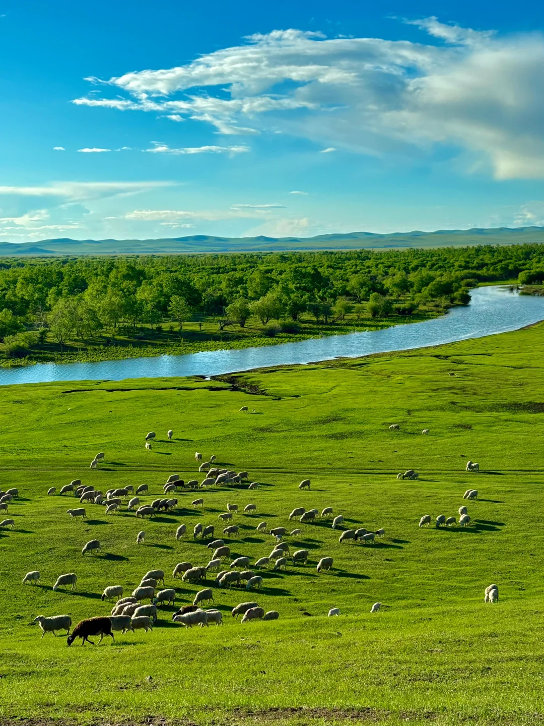 用18张live图打开呼伦贝尔的夏天，附路线🗺