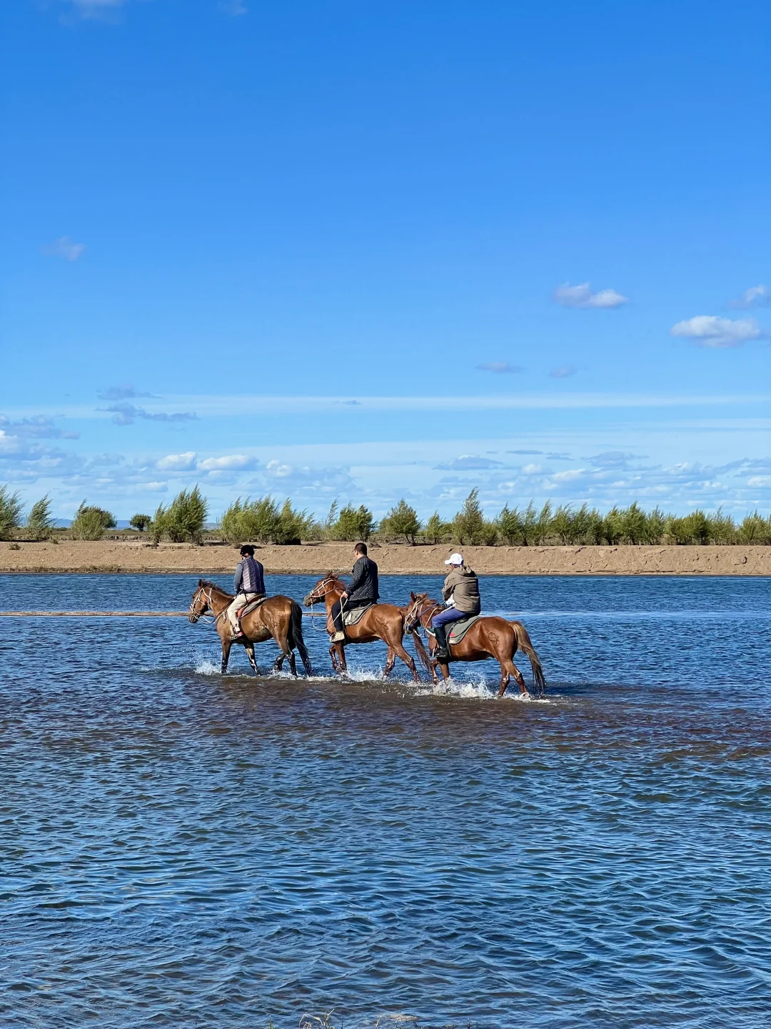 Live｜不敢相信，海的尽头是草原～