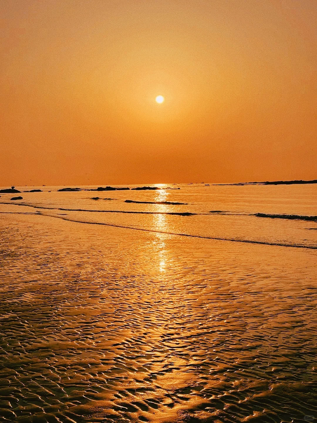 五一去山东冷门小城“莱州”🌊