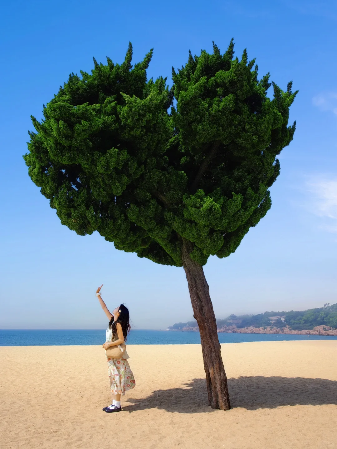 迄今为止，我最想定居的滨海城市就是它！！