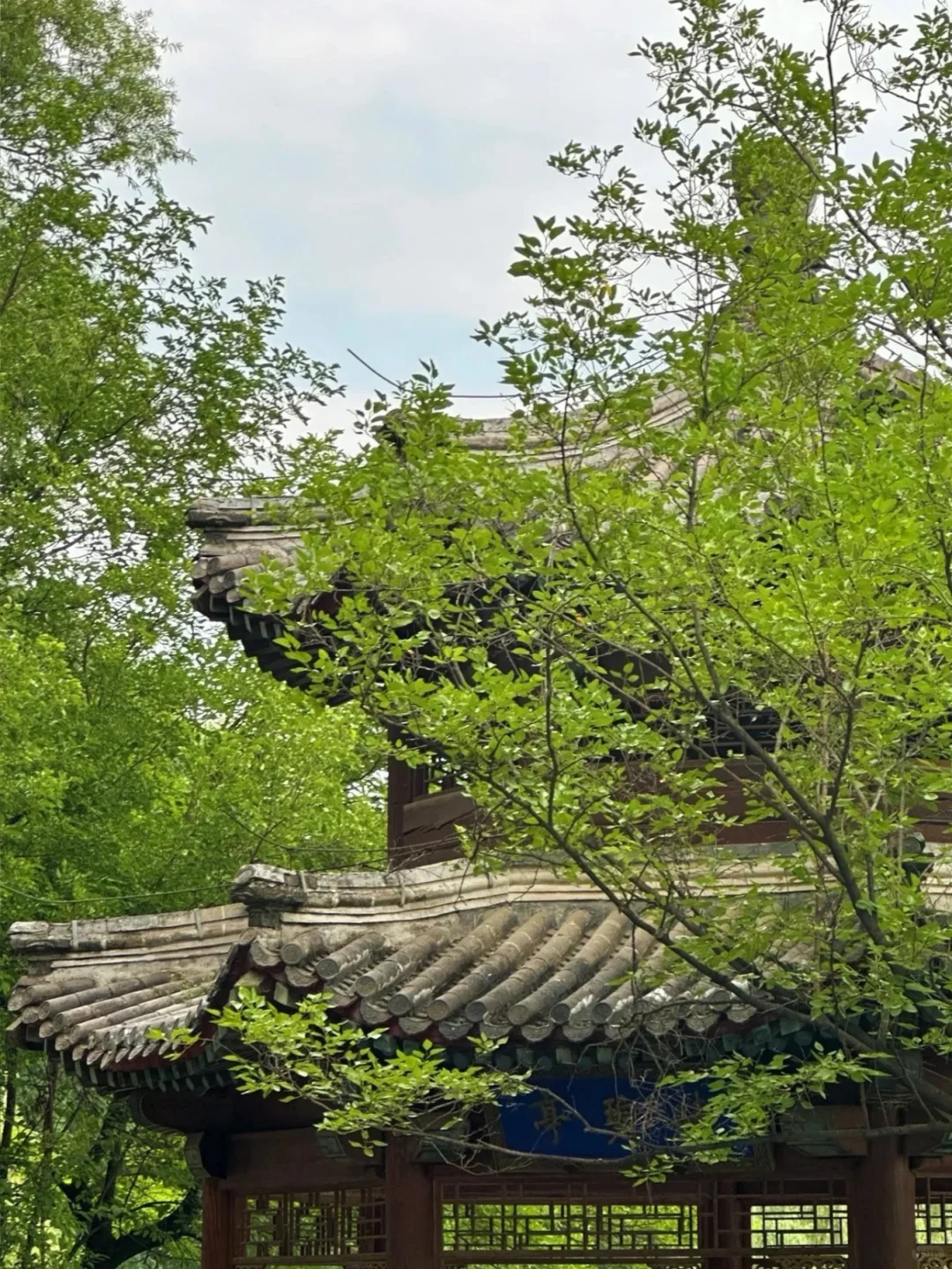 第一次带爸妈去承德避暑，不自驾3天2晚