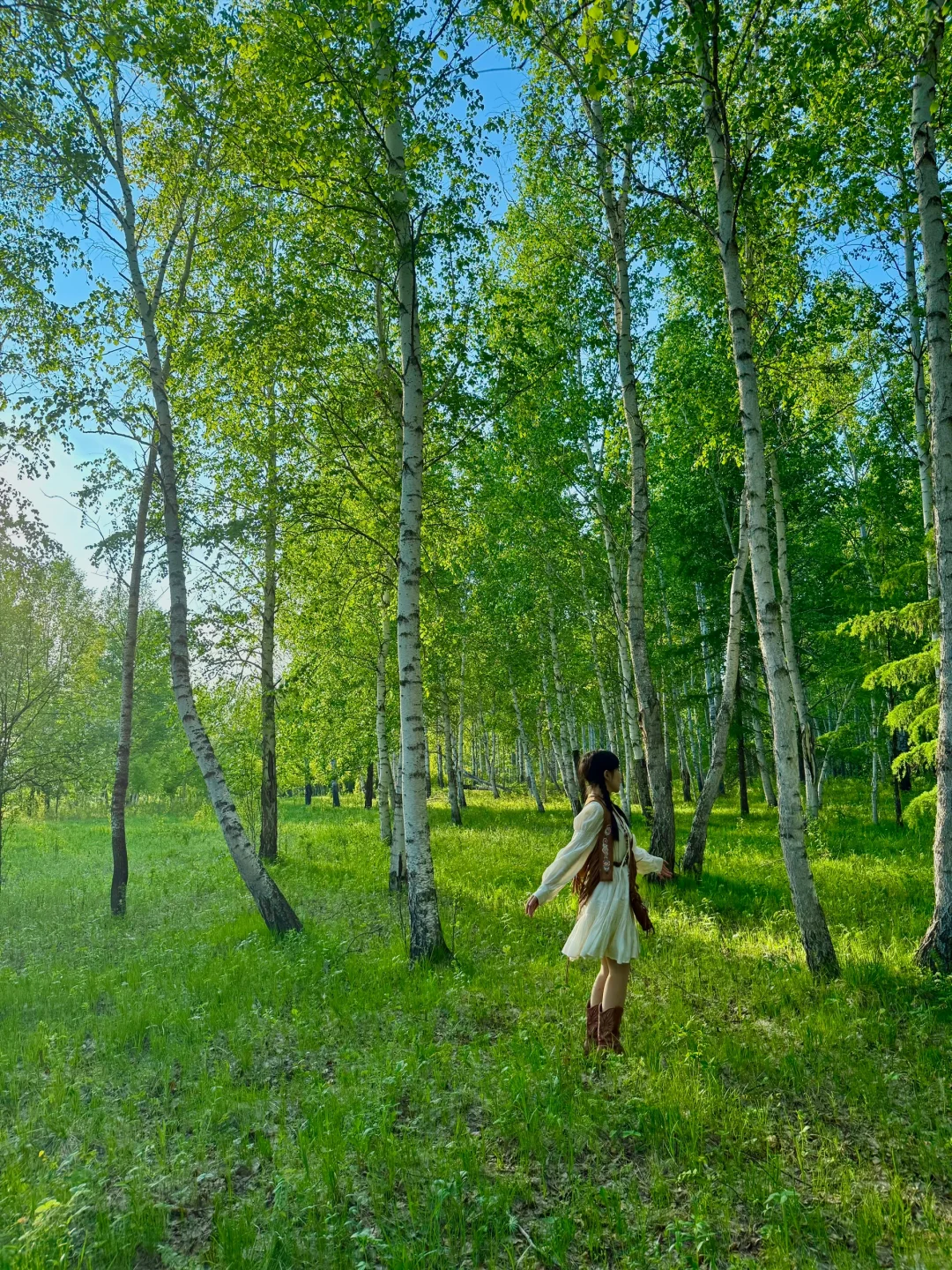 用18张live图打开呼伦贝尔的夏天，附路线🗺