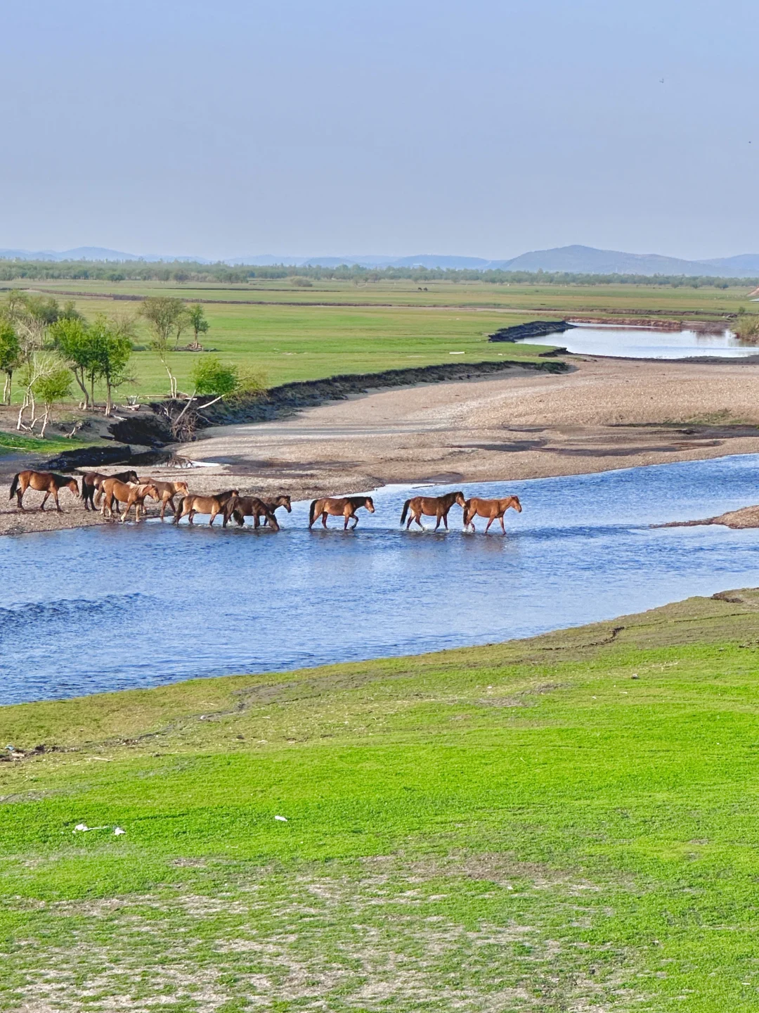 为了这18张live图，专门飞了趟呼伦贝尔…