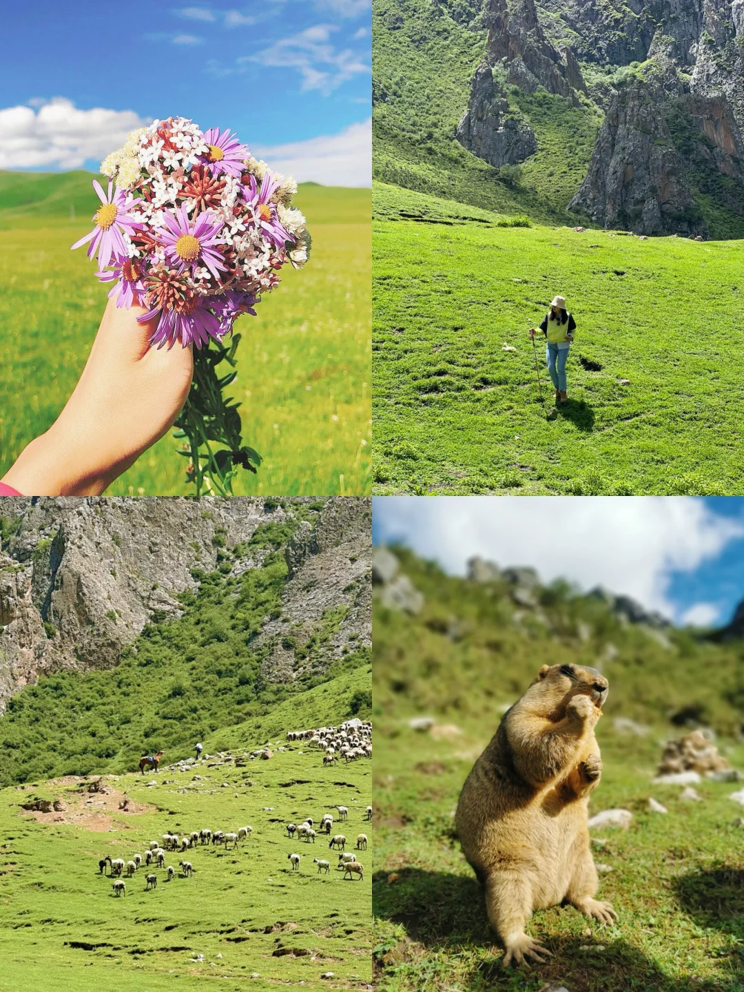 暑假反向避暑成功！推荐个被低估的冷门地