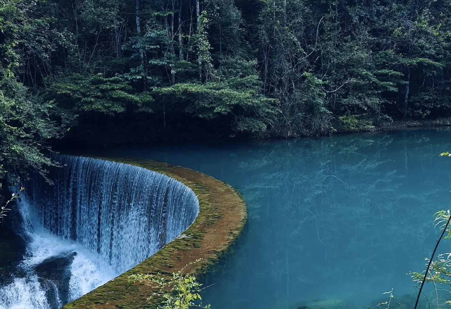 🌿闯入荔波小七孔，邂逅人间绿宝石🌿