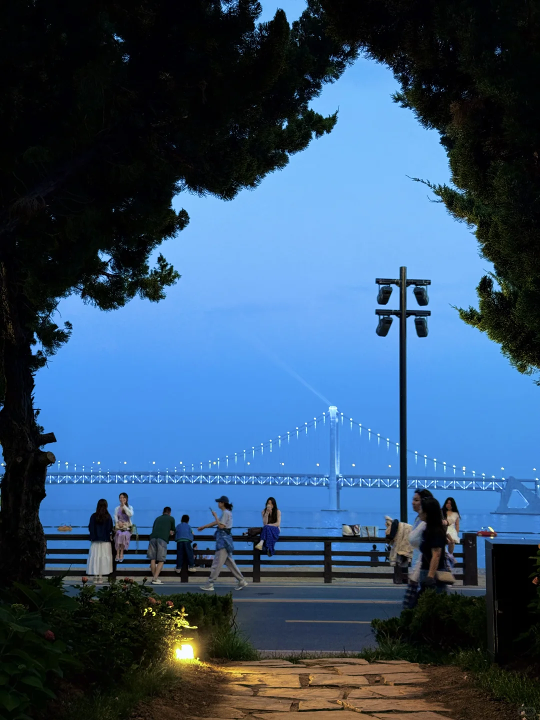 大连刚回来！18张live图不足以表现她的美！！