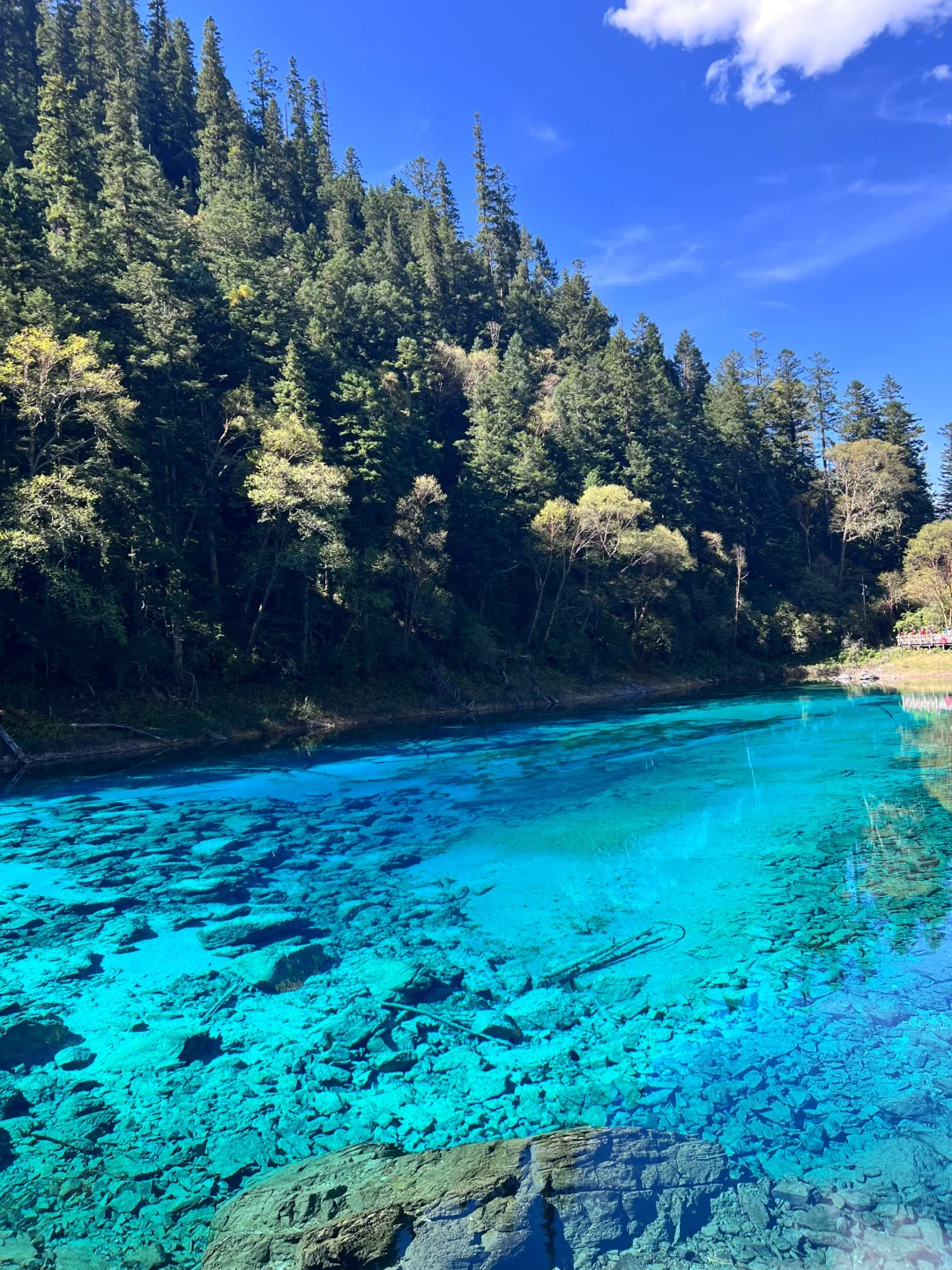 在九寨沟💙见证了一场蓝色的盛宴