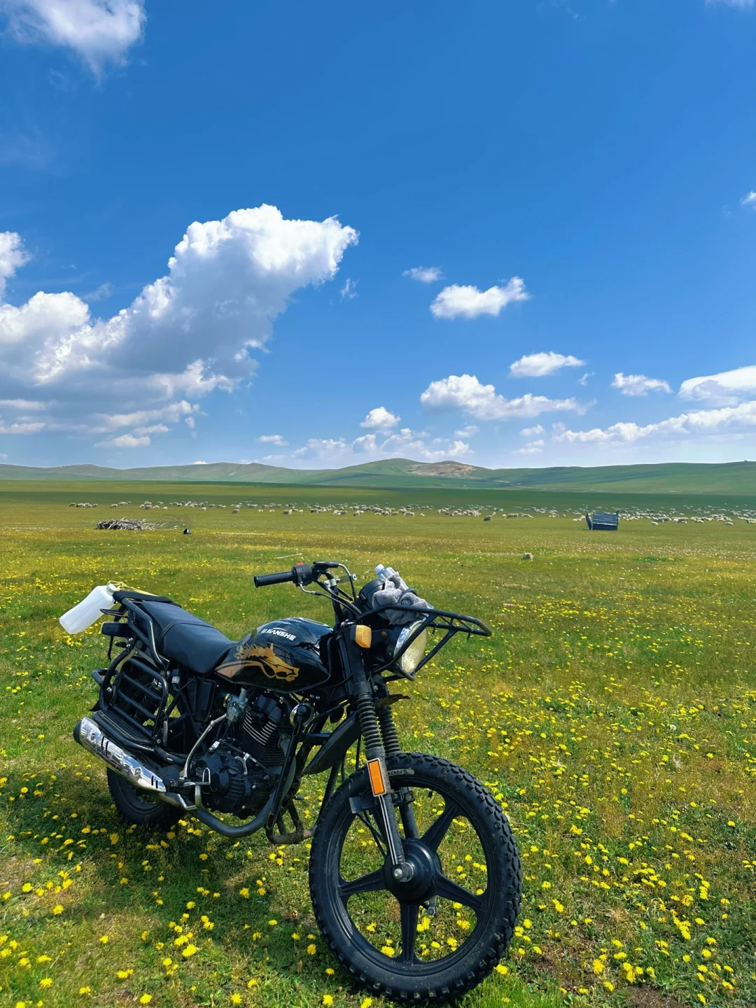 实拍！呼伦贝尔这18张live图我能记一辈子🥺