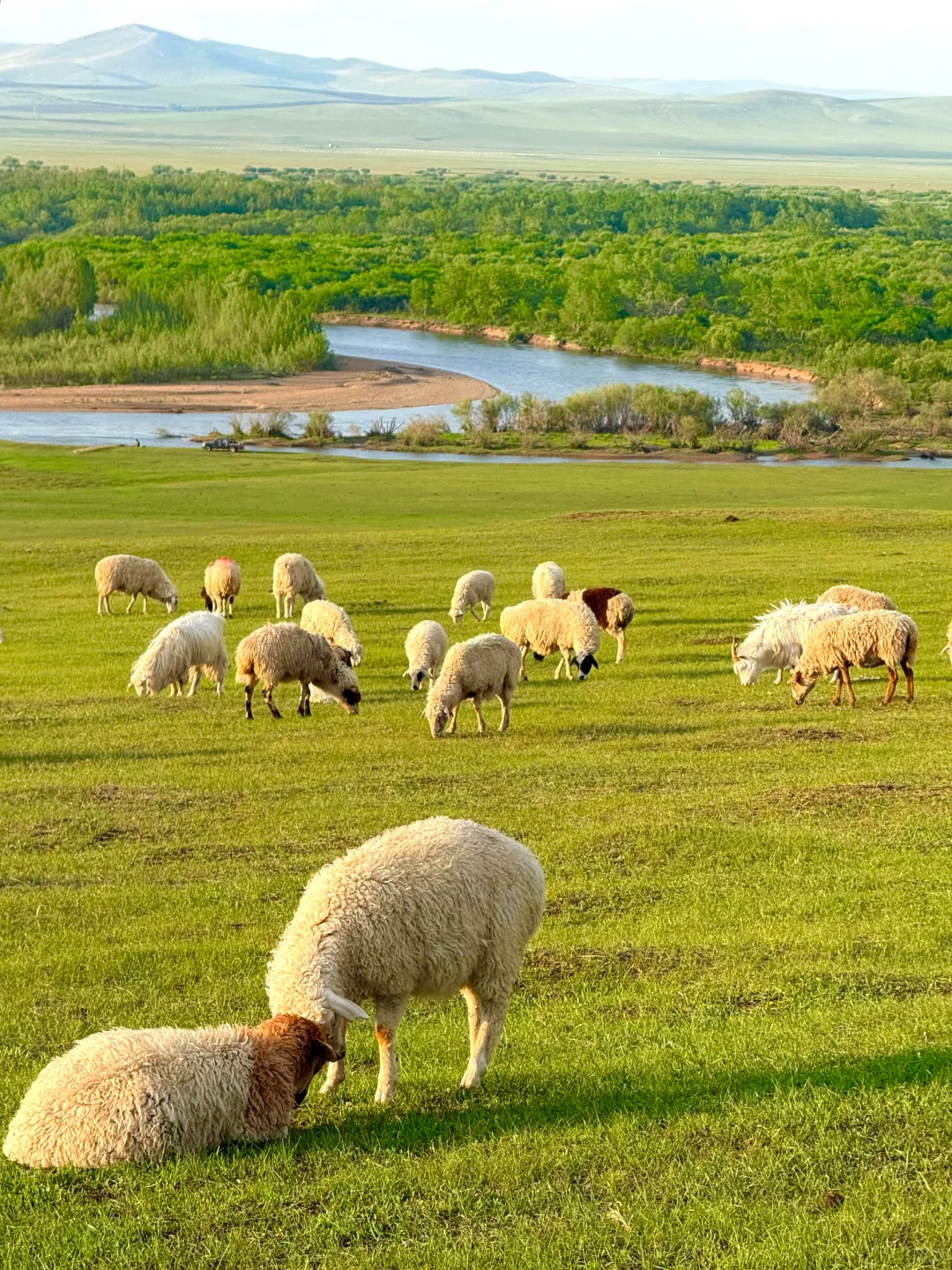 最终,我还是一个人“抛夫弃子”来到呼伦贝尔