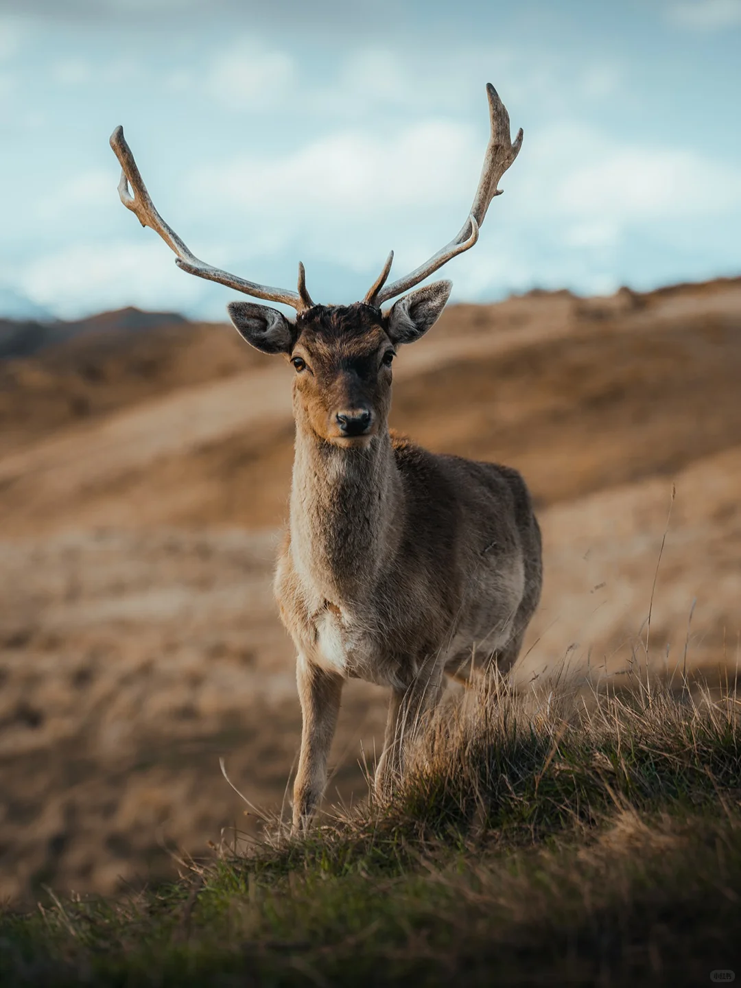 一篇搞定皇后镇周边怎么玩✅附必玩景点车程