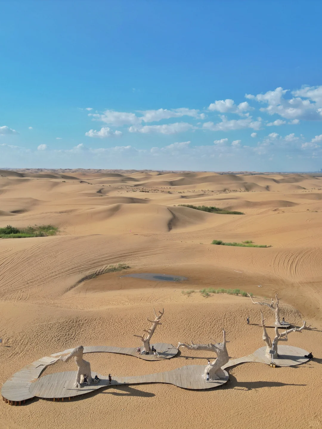 以为中卫够美了，直到我去了乌海…