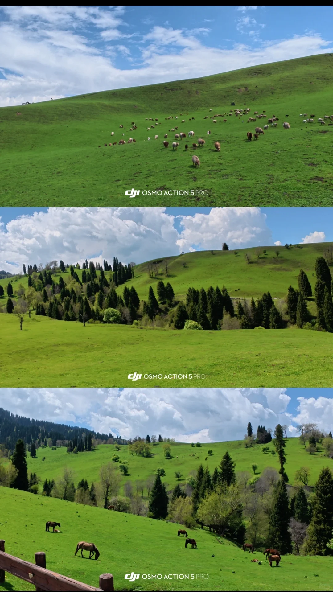 人均5000多,不早起不熬夜,详细路线攻略