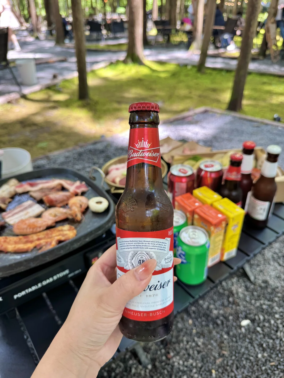 🍃五一还没想好去哪？冲这个神仙森林营地！！