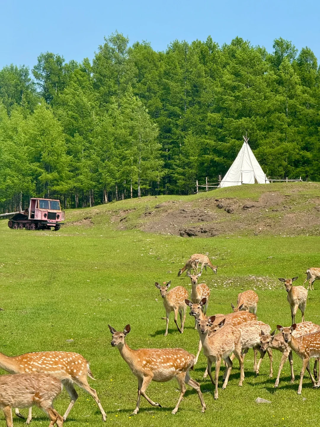 Live｜不敢相信，海的尽头是草原～