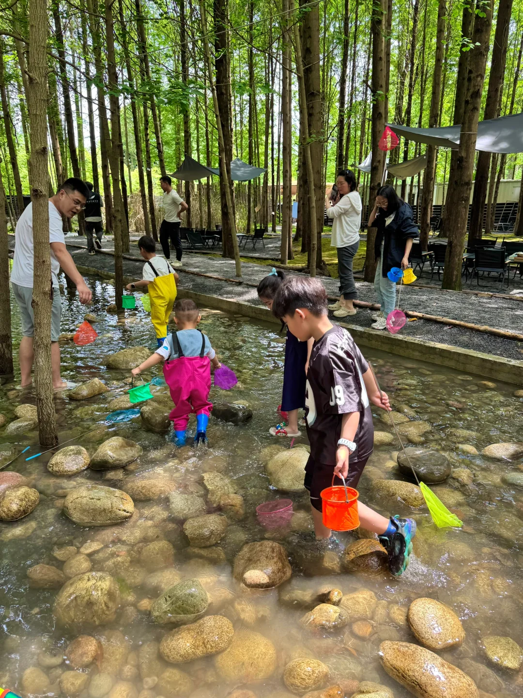 🍃五一还没想好去哪？冲这个神仙森林营地！！