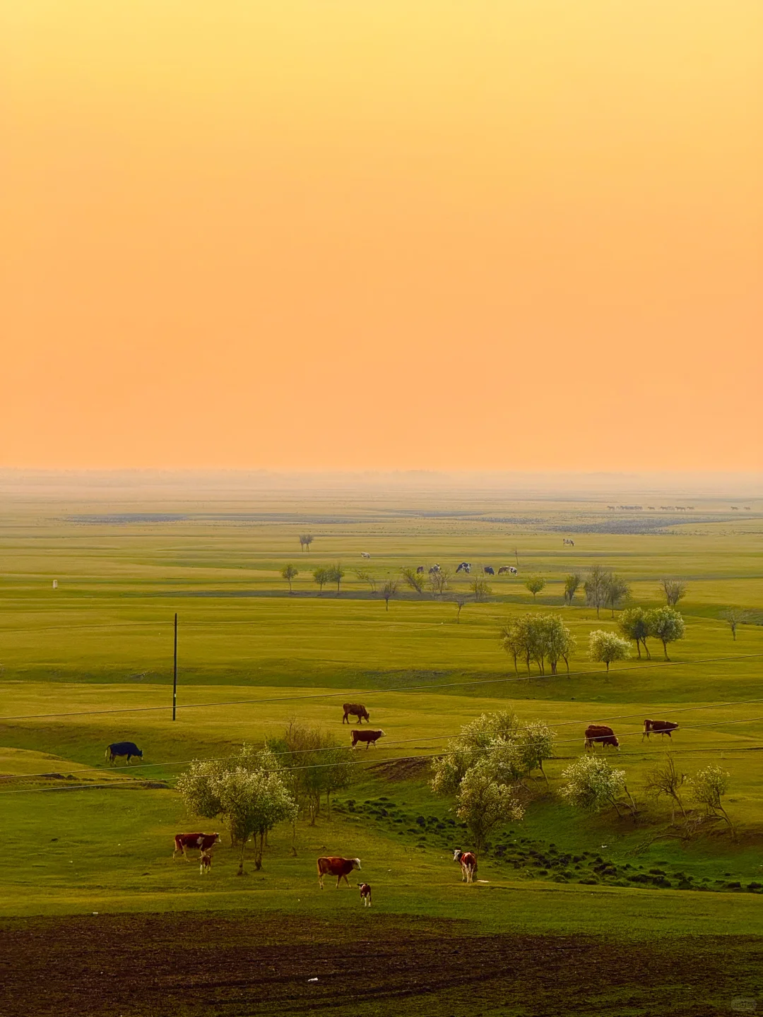 最终,我还是一个人“抛夫弃子”来到呼伦贝尔