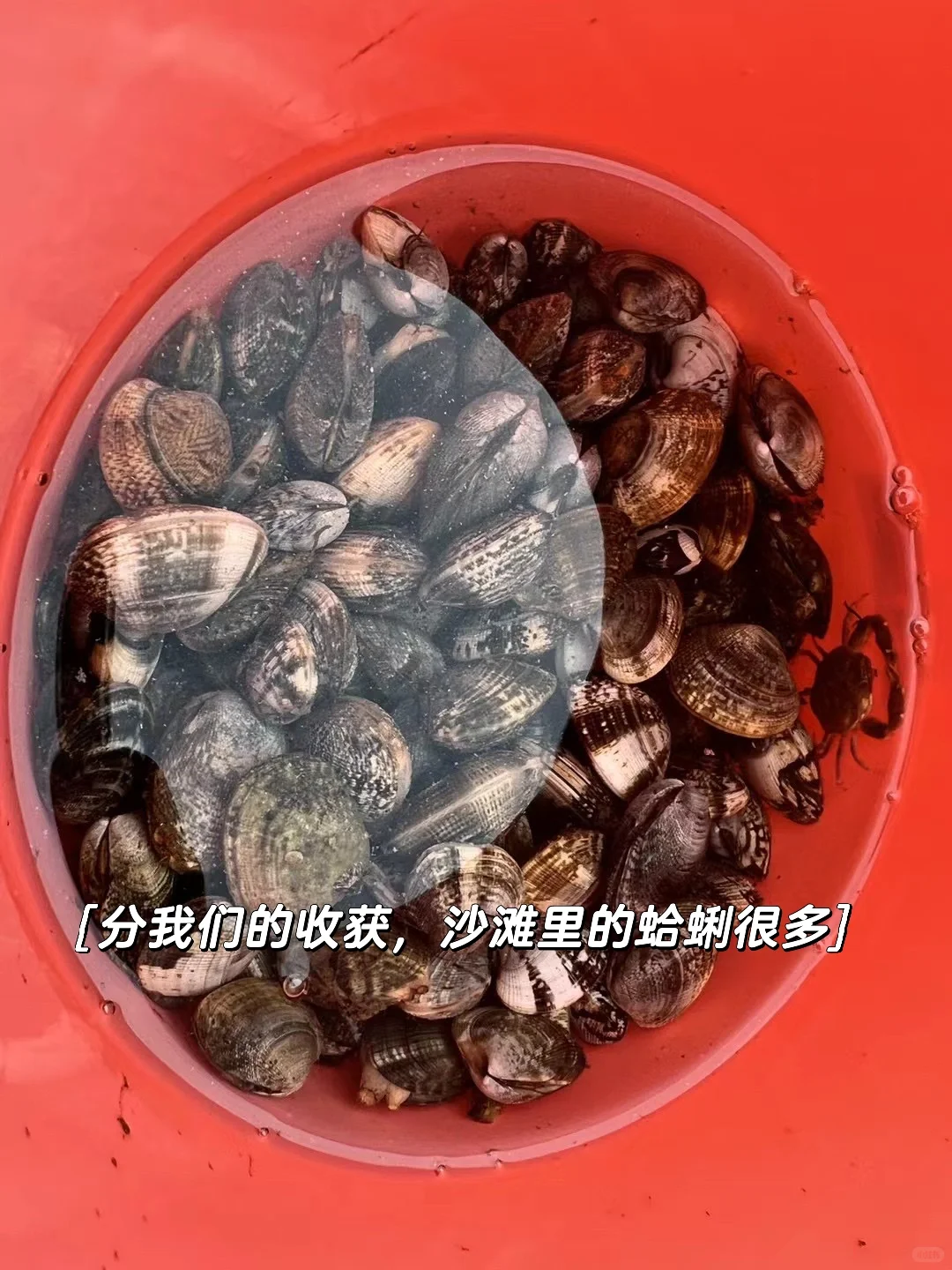 五一去山东冷门小城“莱州”🌊