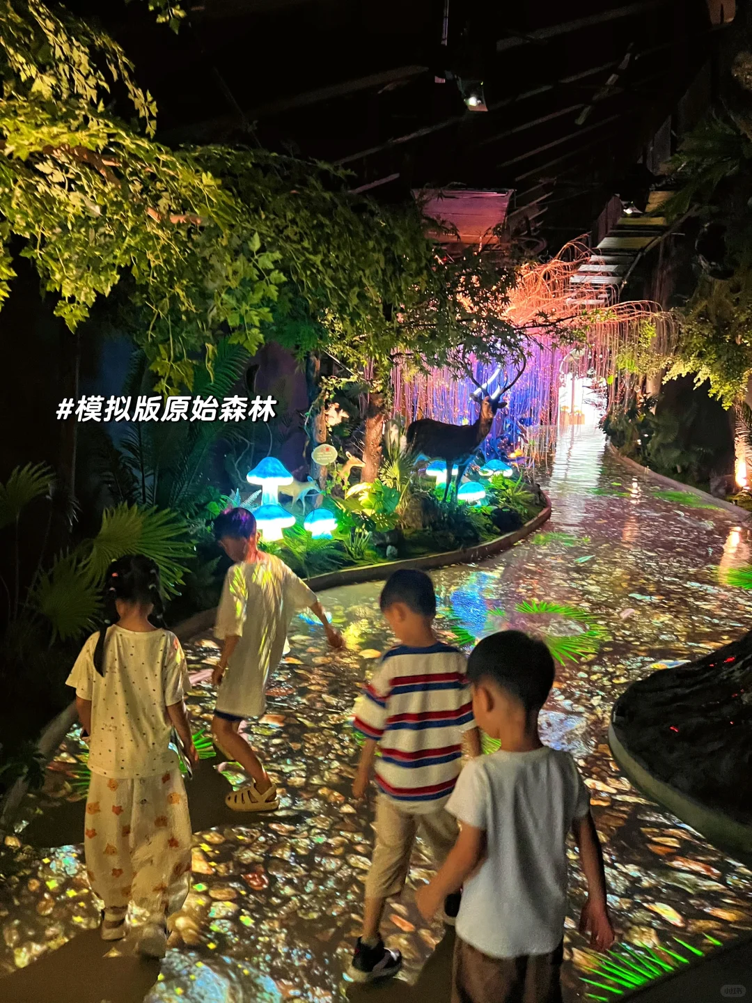 💦靖安新晋3500㎡室内恒温水上乐园❗夏日必玩