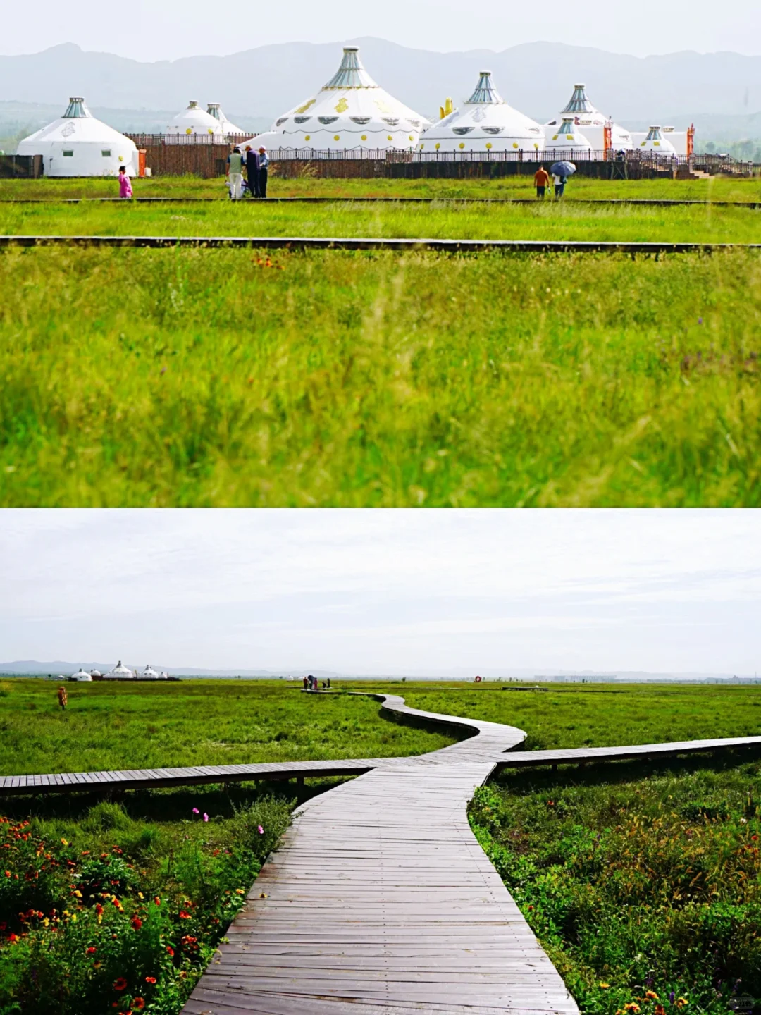 一图“解锁”·呼市攻略