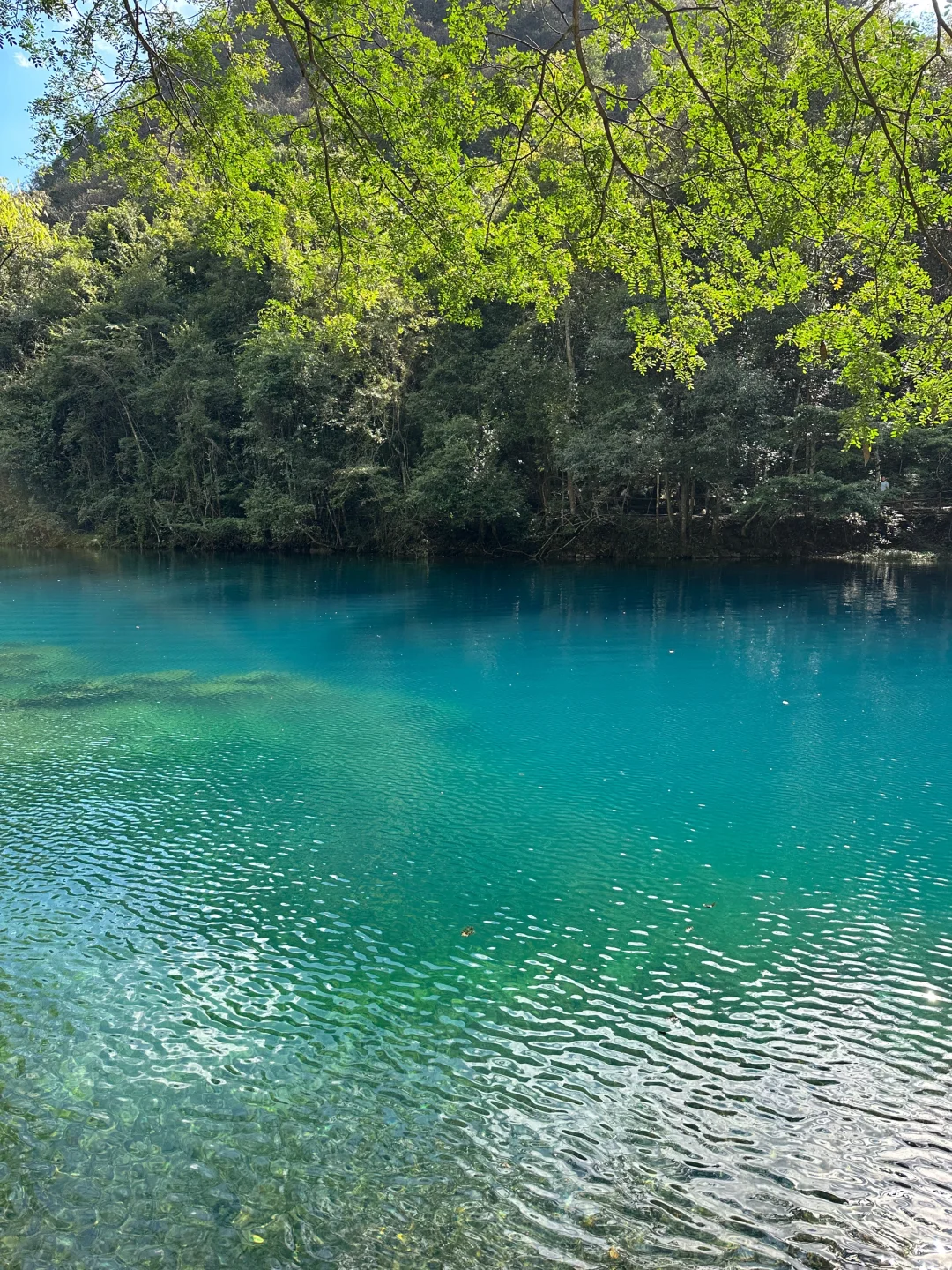 贵州四天三晚旅行攻略,轻松不废腿!