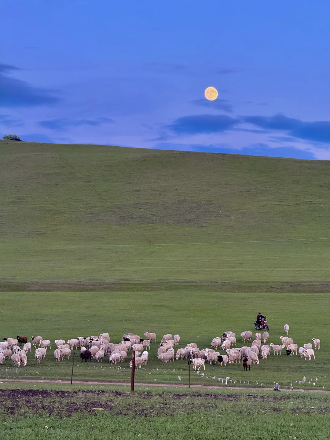 Live图的意义，呼伦贝尔第一天就美哭了😢😢