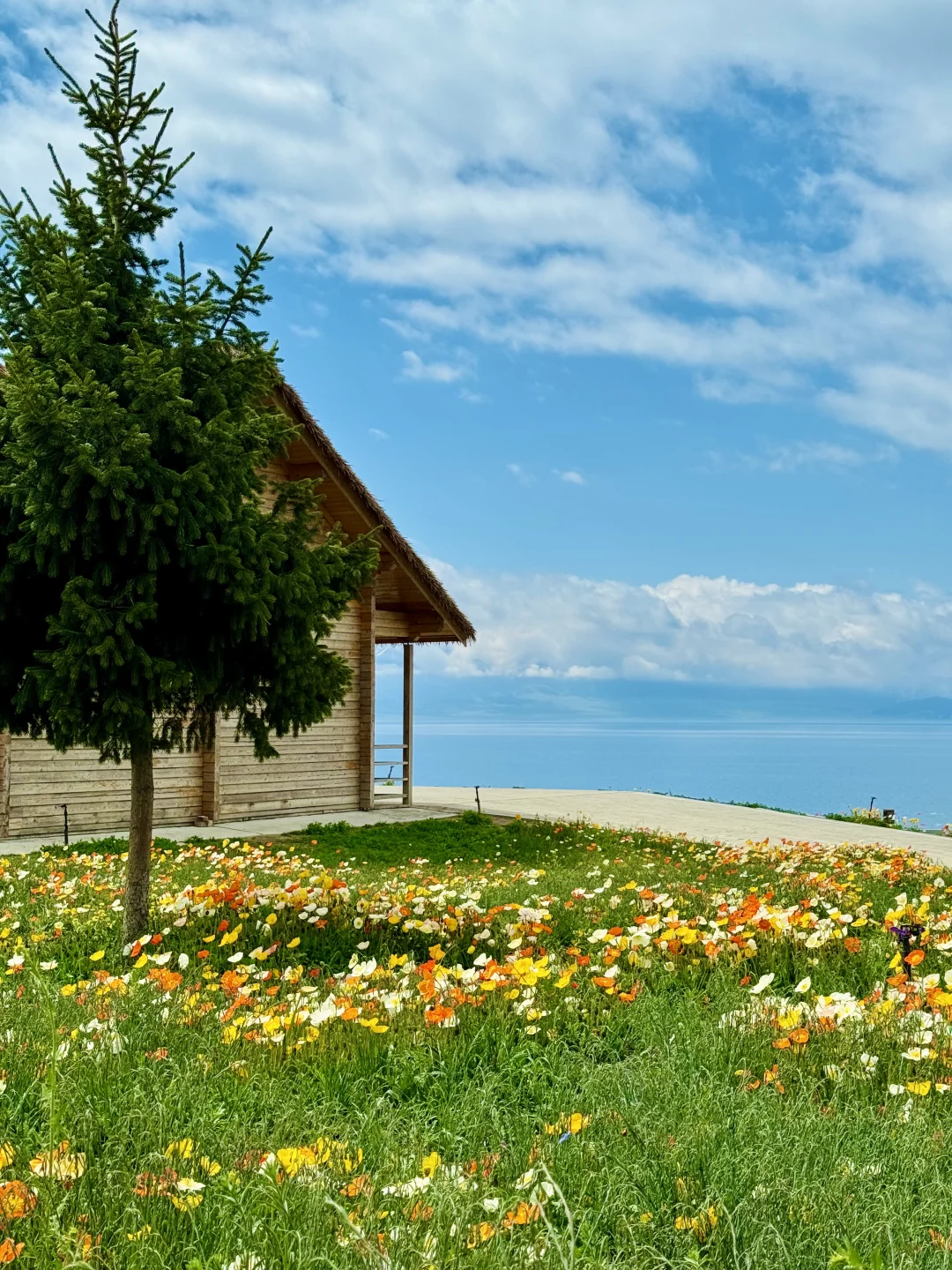 在赛里木湖拍到了我的人生live