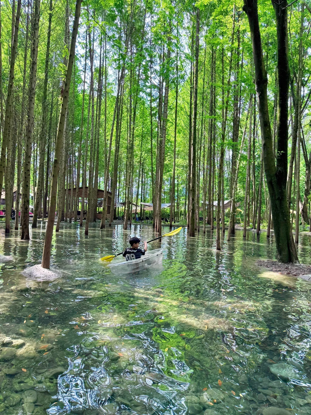 🍃五一还没想好去哪？冲这个神仙森林营地！！