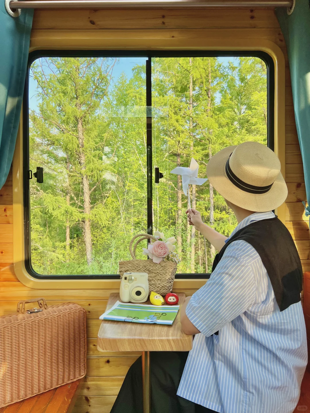 Live｜不敢相信，海的尽头是草原～