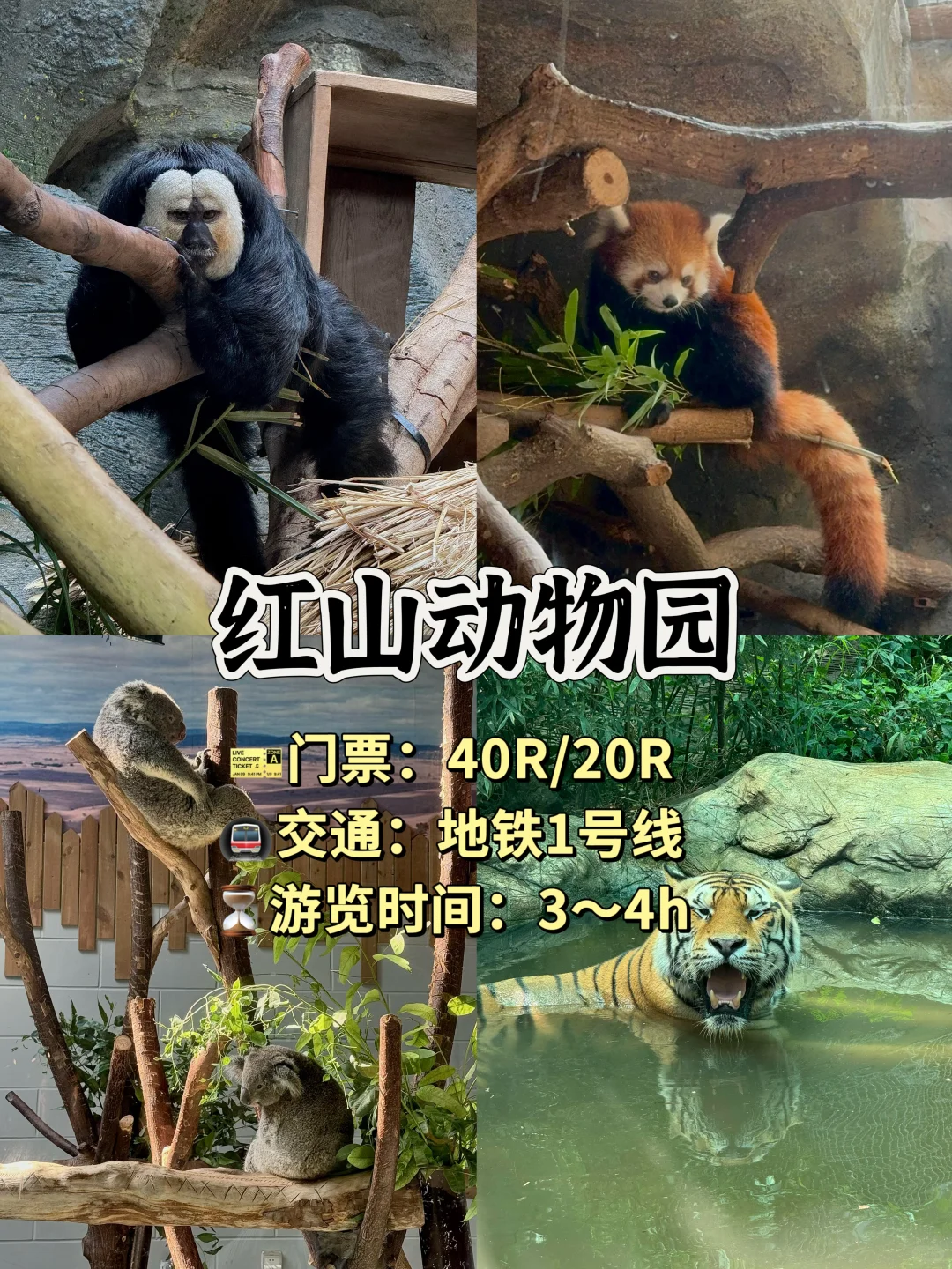 南京必去八大景点❗收藏必打卡👍你去过几个